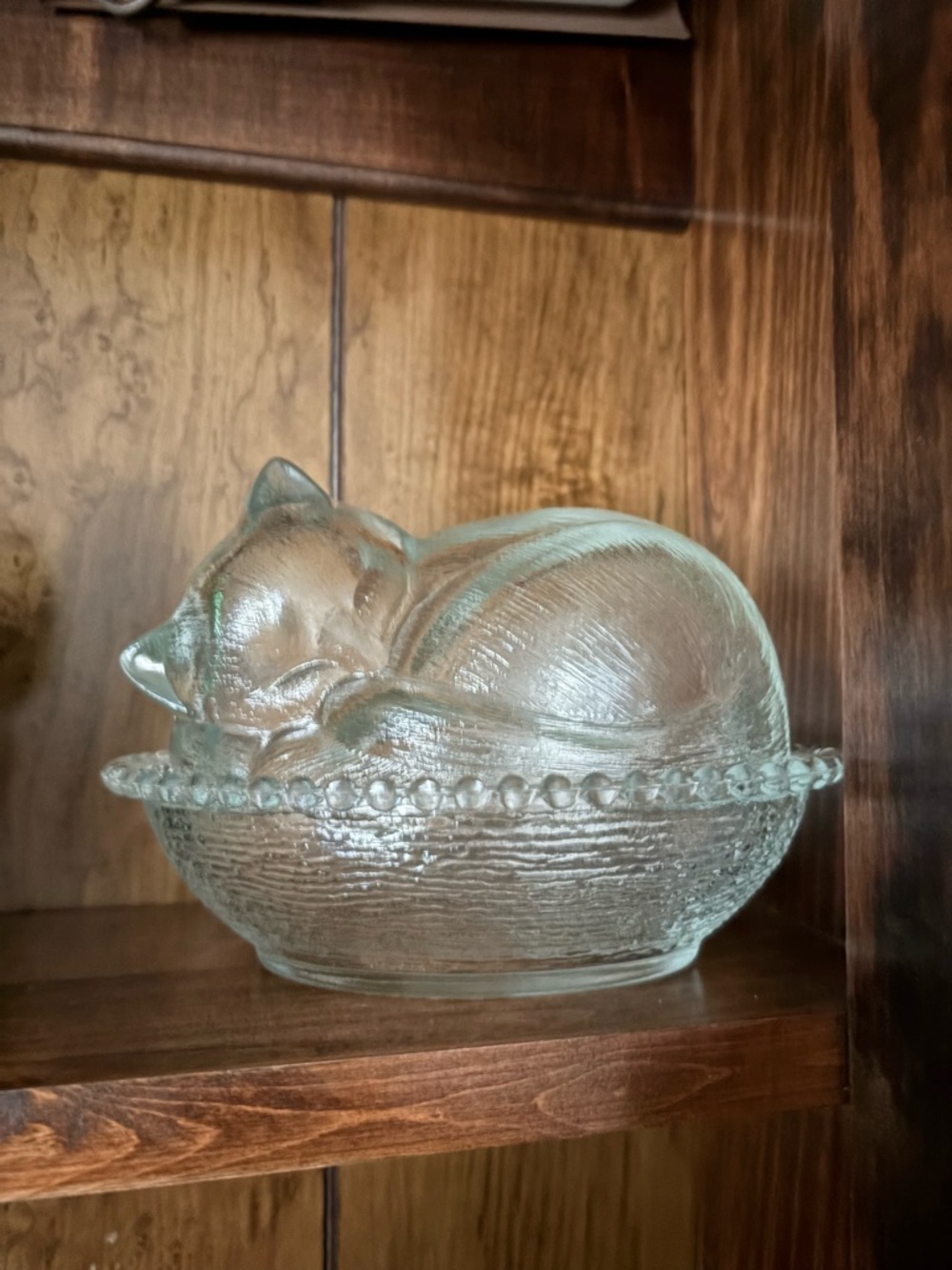 Glass Sleeping Cat Trinket Dish - Clear